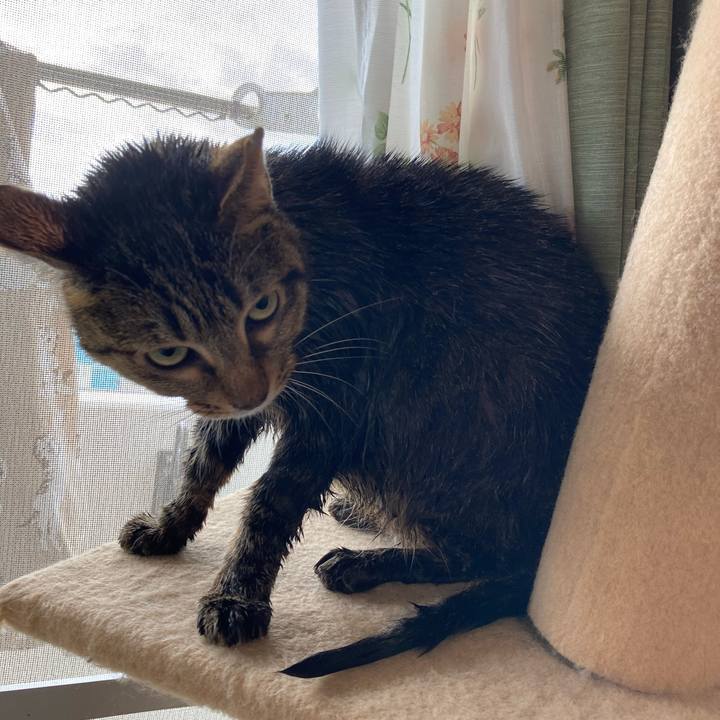 3aac5288 8c31 4031 808a 1abcbb19d548 1602987537212