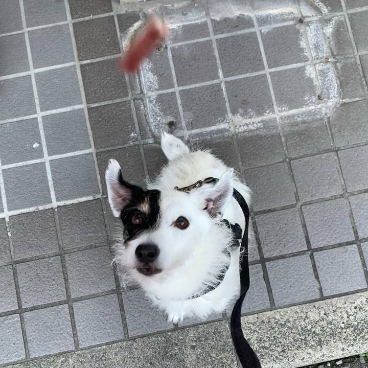 3aac635a 9e13 4b85 8d5f f4fb499e3ce0 1718788878129