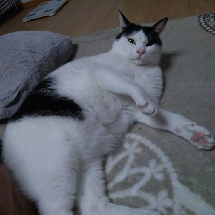 3aaca629 6381 428d 99f9 4fd0a09405eb 1520423728791