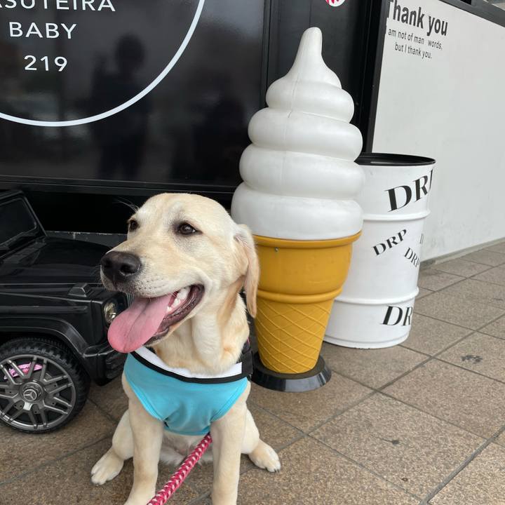 3aacaf8a 1e44 4be3 8992 b1f1fe0d7fce 1622094717314