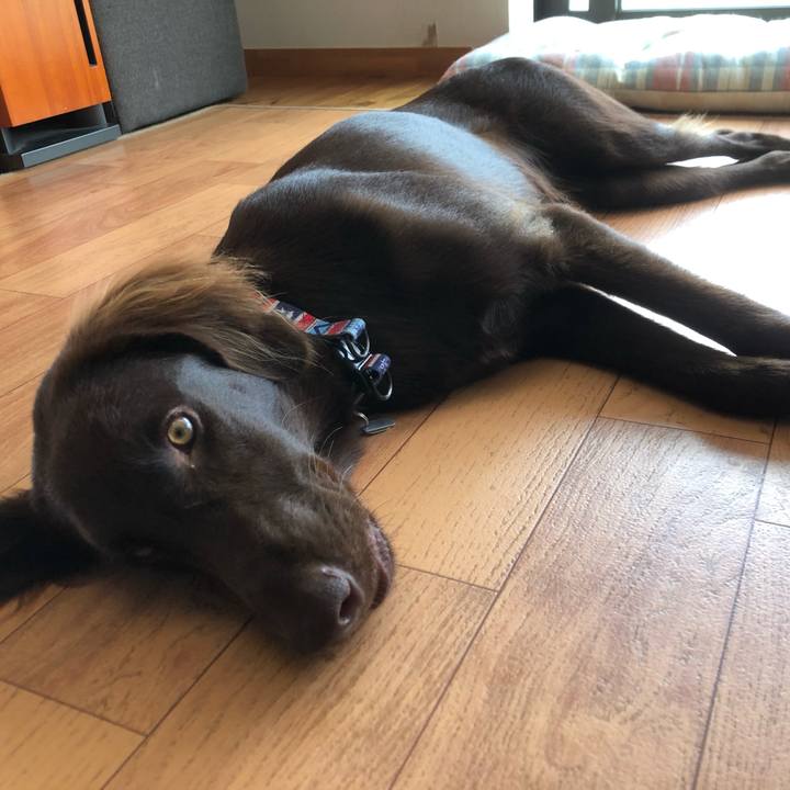 3aacefc4 2f21 4d51 9d2c c97ff1467ace 1569719162598