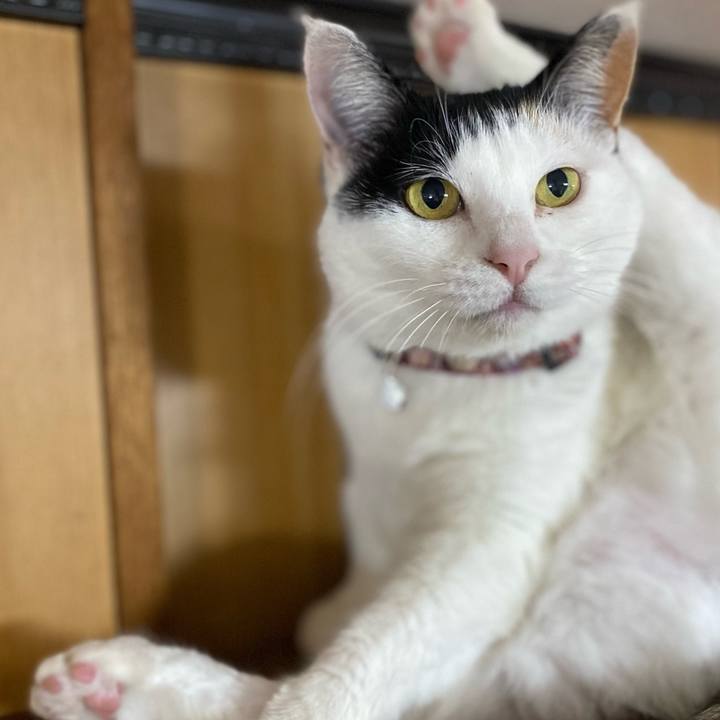 3aacf00c 586d 486c b6d8 77ca0f67cd89 1649167457335