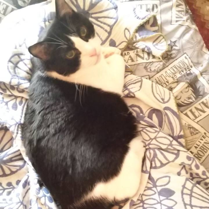 3aacf8b3 4c12 4c05 94ec a98e9559df99 1569629744089