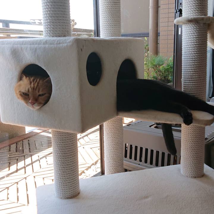 3aacfb6f be39 4092 8cf9 abbf425b9481 1567913339336