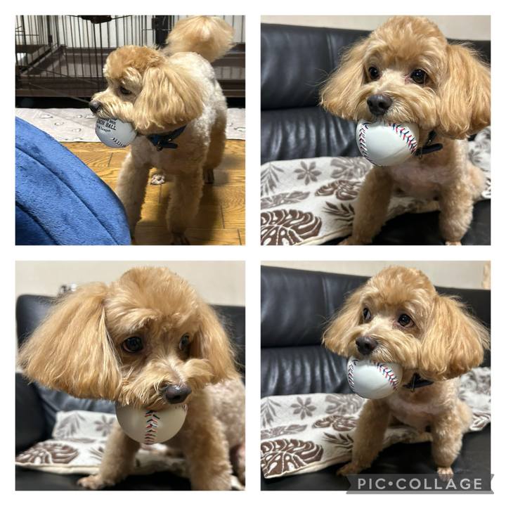 3aacfc3c 476f 4a99 a5c3 bca31a4cc504 1731944920946