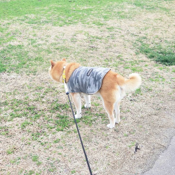 3aad00d5 037a 458a baeb c9c3788721ca 1679888902731