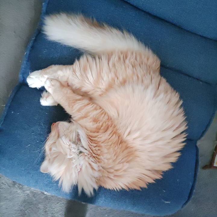 3aad05e5 5b35 46ec 92fa 2ae29f1c2a63 1653450502120