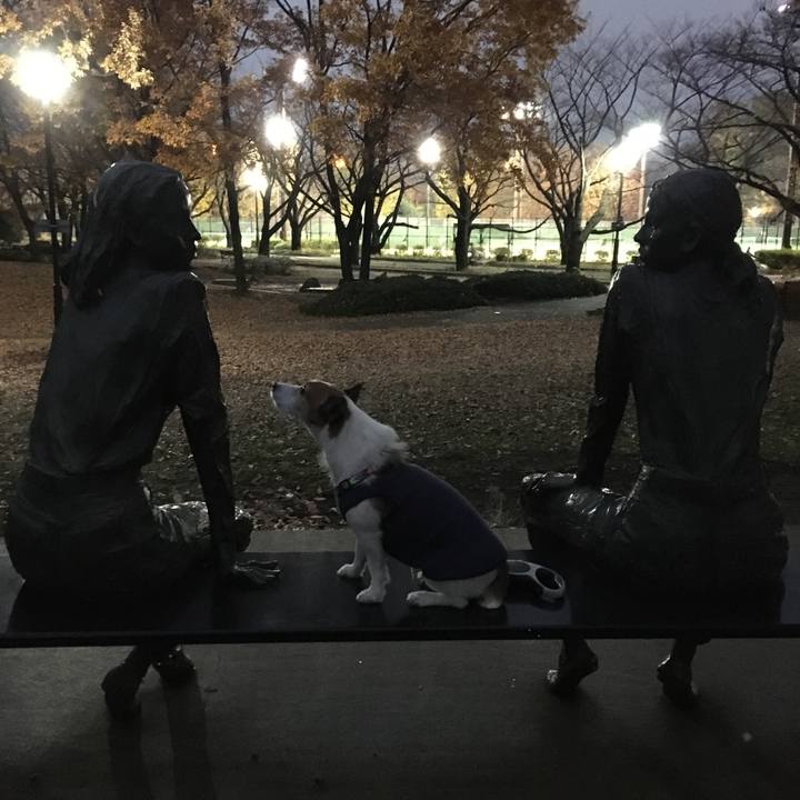 3aad1cbc 03c6 4801 a50e 5327409ddeab 1575846953217