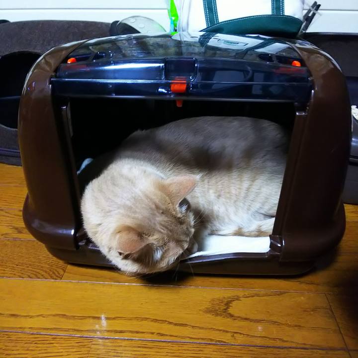 3aad2d1d 1d82 4034 b61d b5b706e1888c 1614938678134