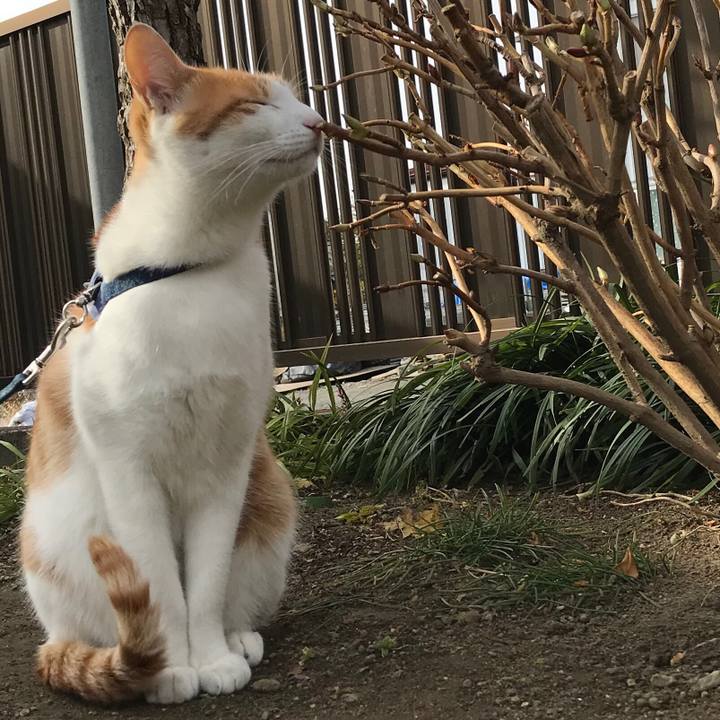 3aad6a0b 1d1c 47b8 b898 12db7d082b7c 1512699931697