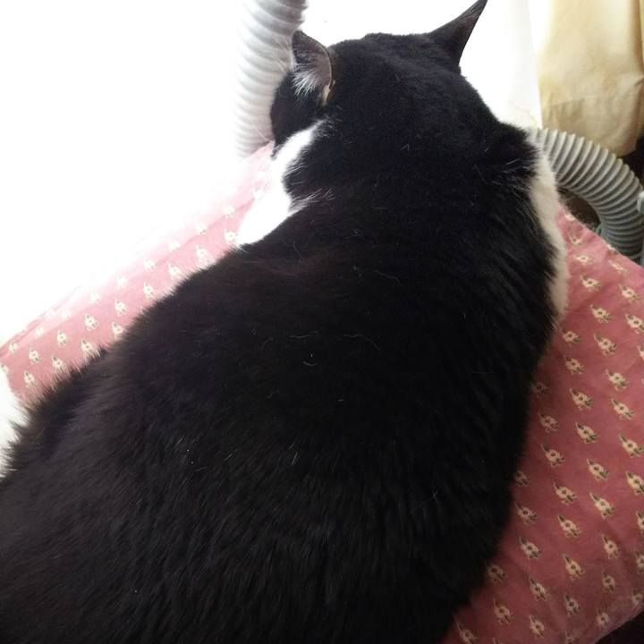 3aad7a97 b204 4279 8e16 cf82afd8f484 1553032469915