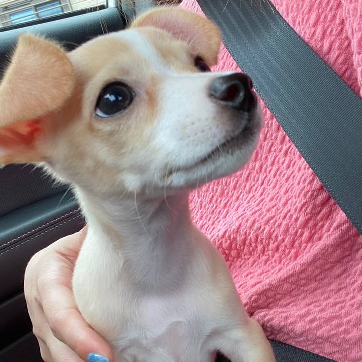 3aadb253 76ec 4539 bae6 3312142ab258 1661488007256