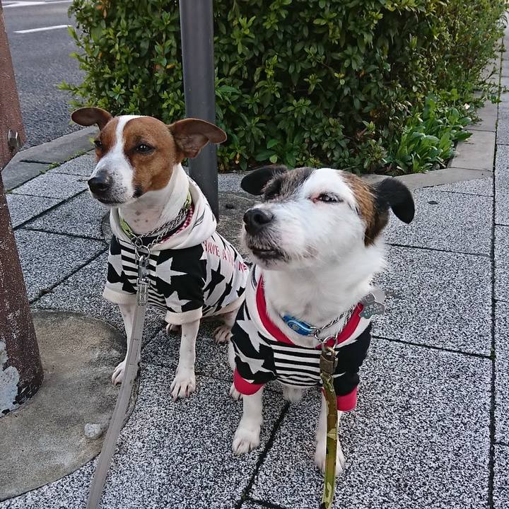 3aadb76d 8824 4eef 8ab2 0d5048d118b0 1583882649261