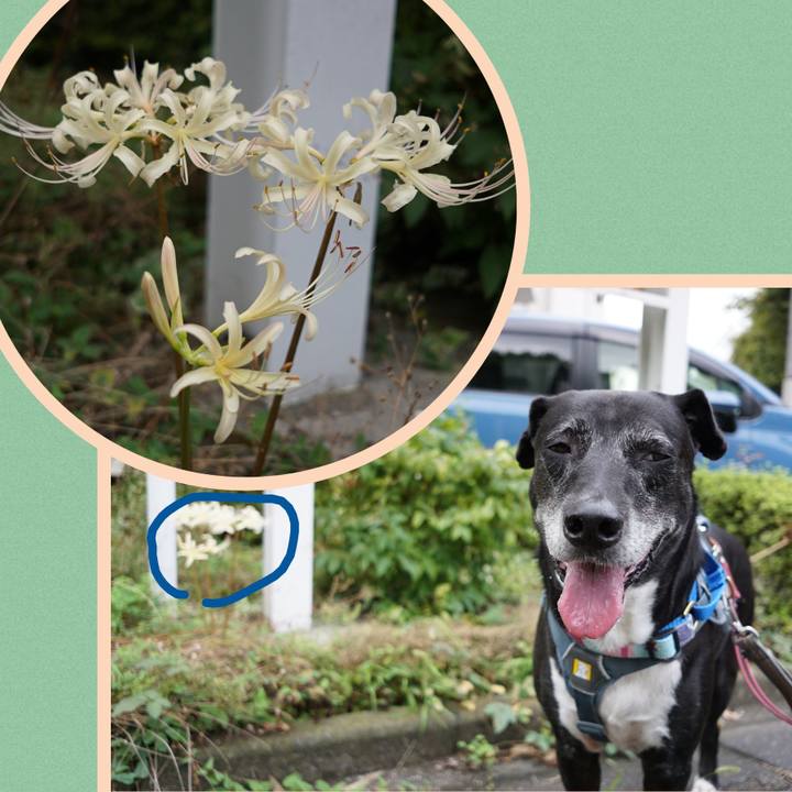 3aadb94c 7665 4844 b6e5 6e1100359b25 1758933741105