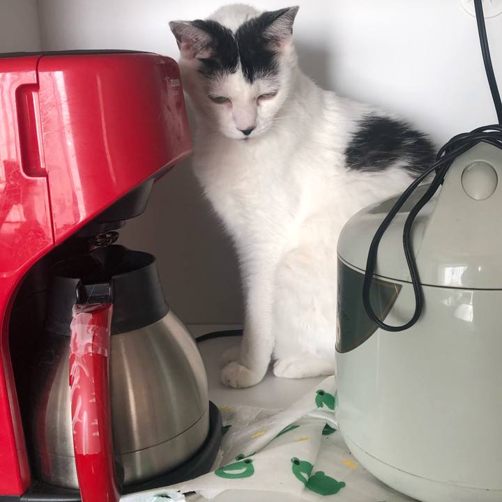 3aae0b6f 15f0 4f2e 8d97 000daf709cec 1599350269969