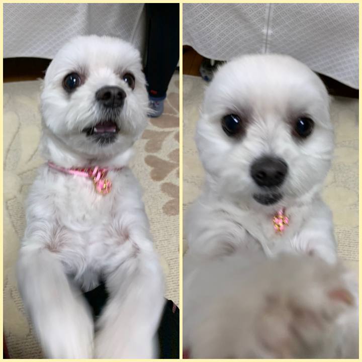 3aae0f24 a776 42fd b6c7 e3bd164c5273 1575546716642