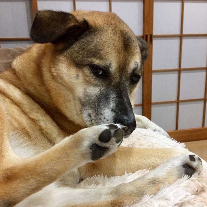 3aae124a b3fe 4e5b 8b08 7c65c49b327f 1545569412085