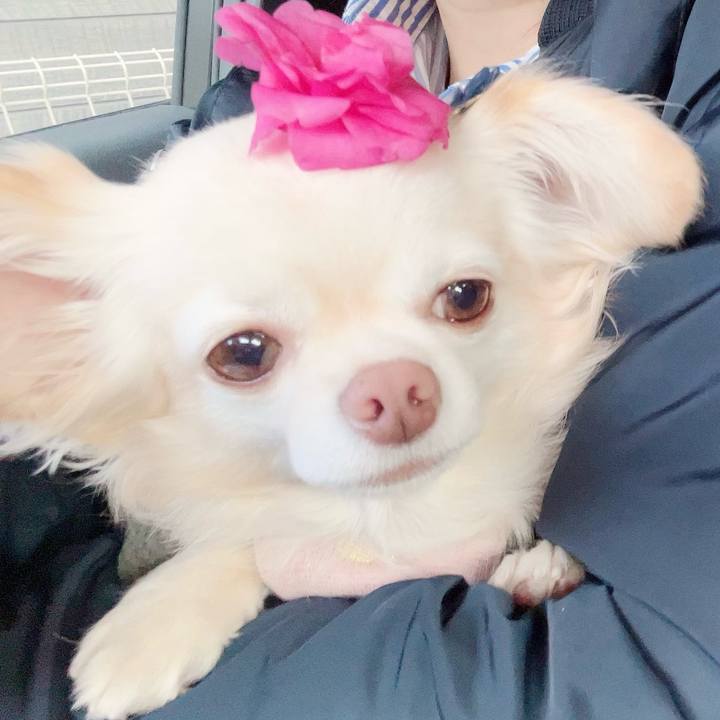 3aae31e5 13fa 42b2 a558 abbe66a15302 1701679106494