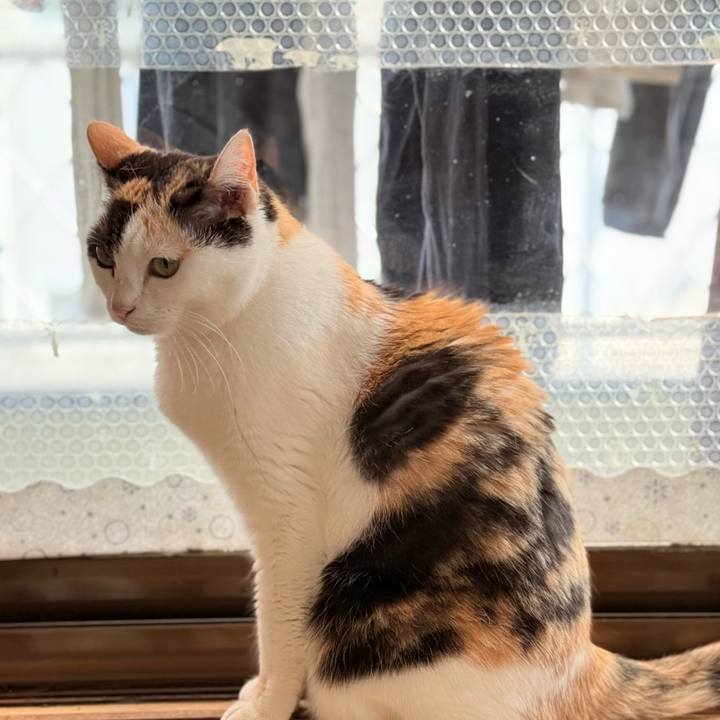 3aae6296 fb50 49fd a30a ee2aacf8d051 1742439725467