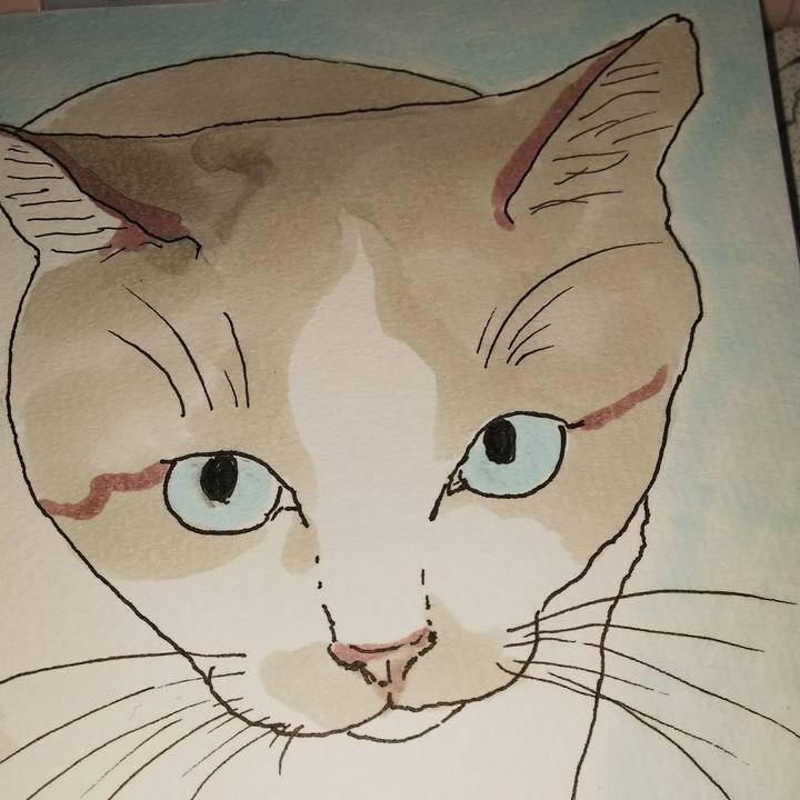 3aae6a4b 388b 4659 880f d489736614bd 1533453929509