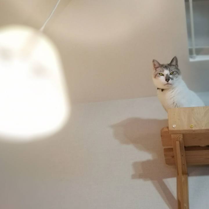 3aae750a fcb4 4464 877b 84031c735a61 1544485384473