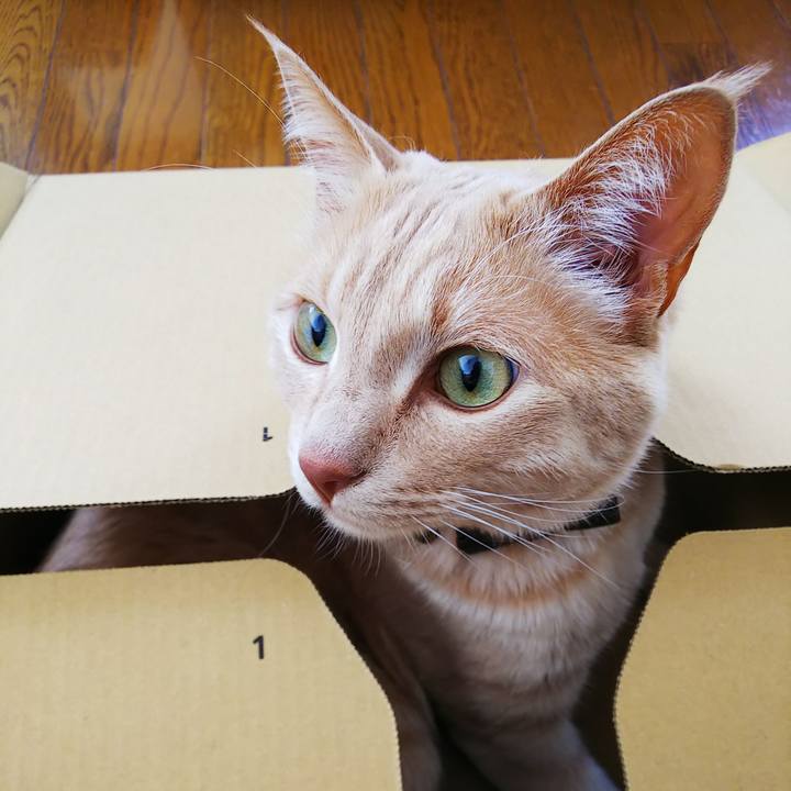 3aae9050 43f5 459d 9f13 b86b99495a1e 1615686107507