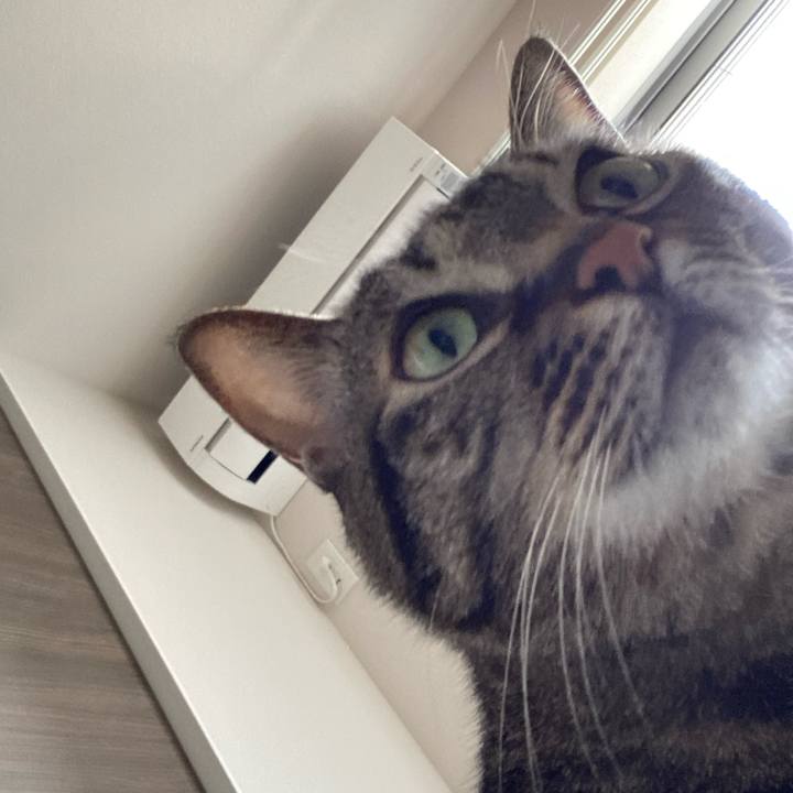 3aae9b9c a6df 4215 8129 9a1987055638 1616208440889