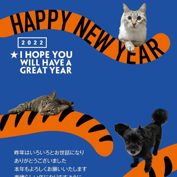 3aaeeb5c 797e 44fa 861e 89e918dab53e 1640967655718