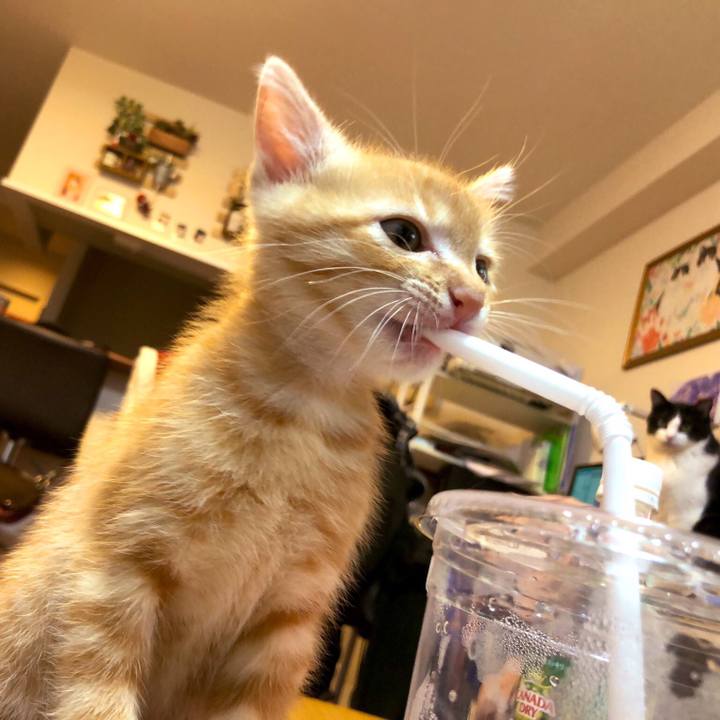 3aaf3611 ea0f 4c2a 874b 27f49d0ed7c3 1562585746414