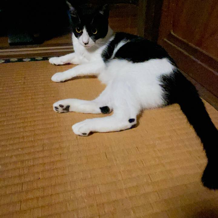 3aaf42eb 6cc7 42ee b51a 081256661082 1690978387408