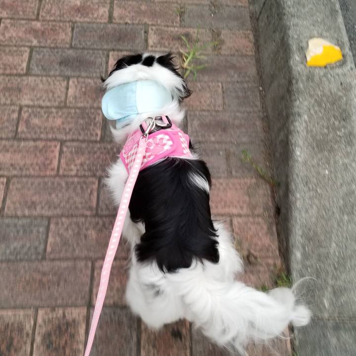 3aaf4884 7aef 45f9 ba0d 0b99a798c4ed 1531737075078