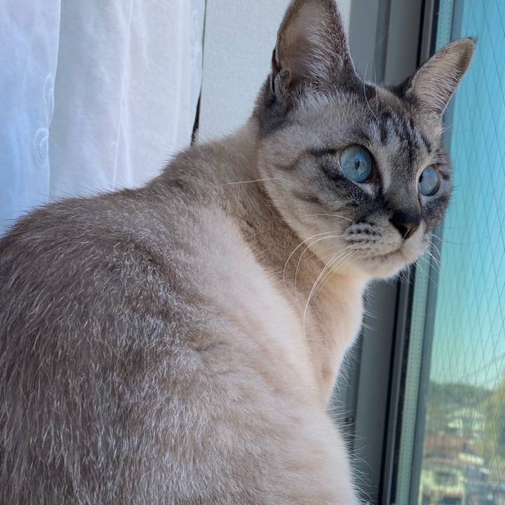 3aaf62dc e29a 4304 b7ec f87234d5b638 1681342050007