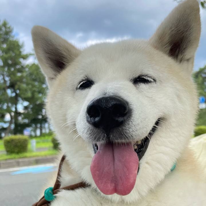 3aaf72c3 6c83 4590 affc 82bdff71d22b 1659951152155