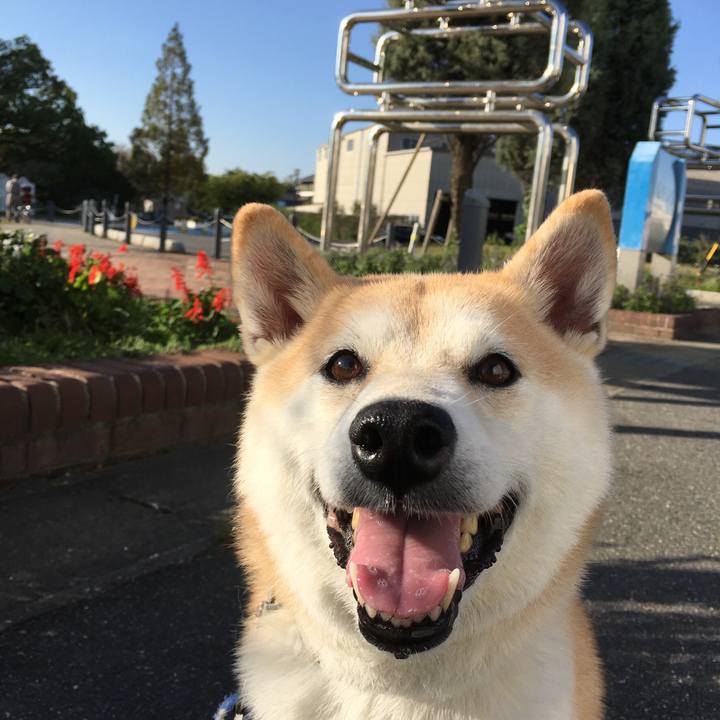 3aaffab5 9cf2 4f43 a9e3 ab0005f870aa 1512059031029