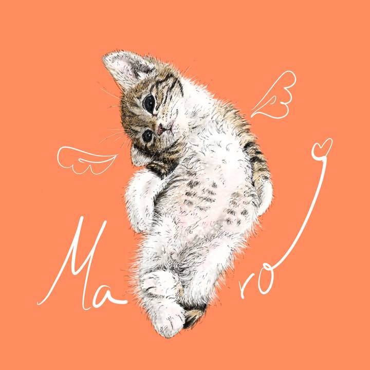 3aaffb79 d351 4471 b22c 895b404cc88e 1693843298943