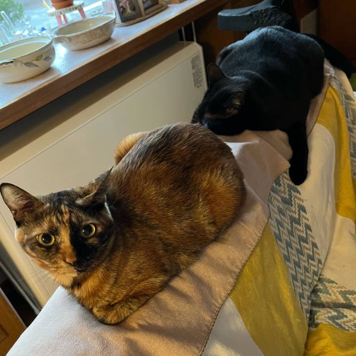 3ab02131 79f9 4bbf b9f7 d2ef75a2887e 1698531283034