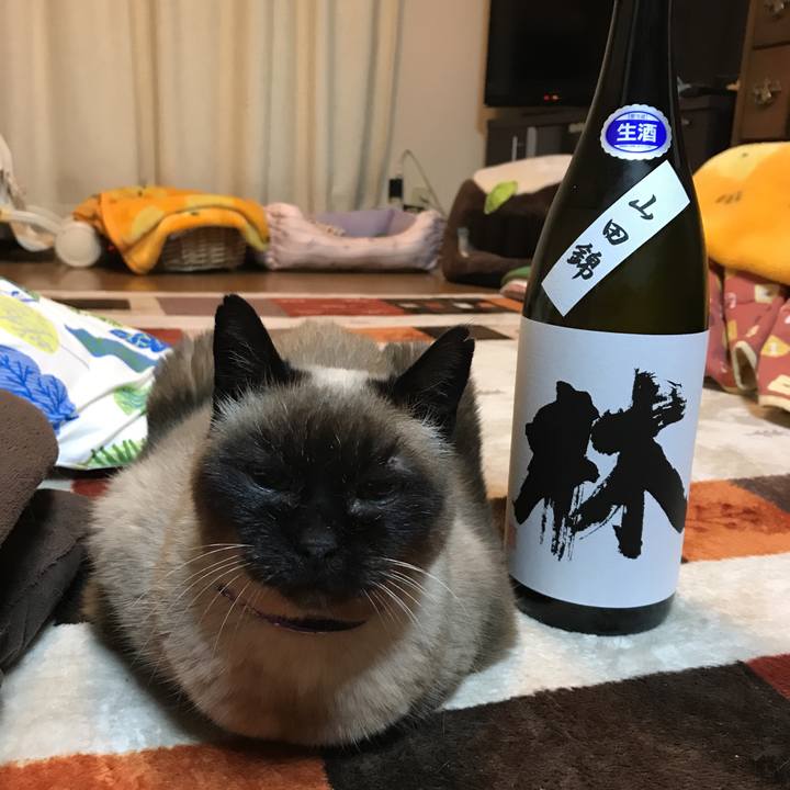 3ab02980 796b 4534 97c2 967728a5ee35 1557312585898