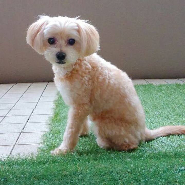 3ab048f7 307c 46c0 b052 e3dfa5452b56 1562021319129