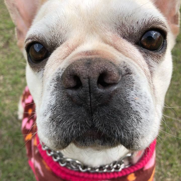 3ab082c8 15b3 4a9f b70c 9fb2eb307b2c 1523901162093