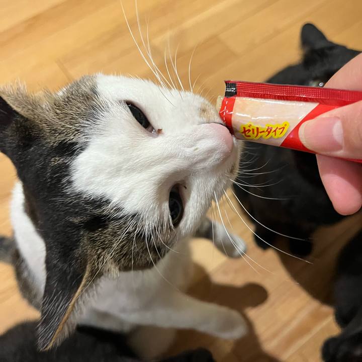 3ab0f3c2 06c4 40dd bcc2 d9959f5d7e2f 1637538666857