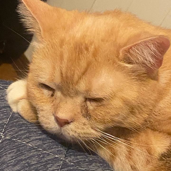 3ab0ffd7 8c25 4faa b813 ec7f64d0223a 1635400642754