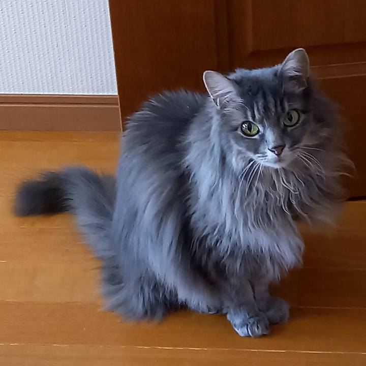 3ab11552 a42c 46c3 a8b6 a361c7815b1f 1612773549718