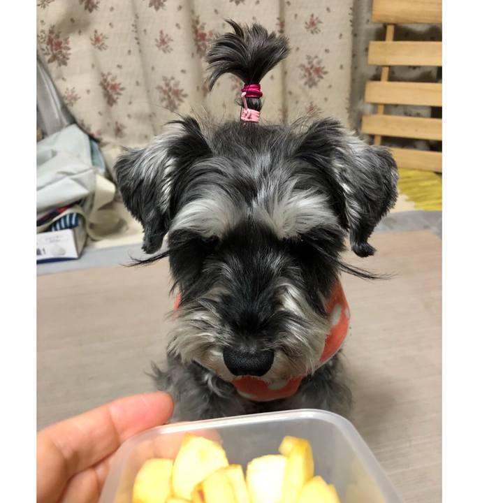 3ab14aca bace 4b4b 9316 a9d4bddbd3ea 1644764996726