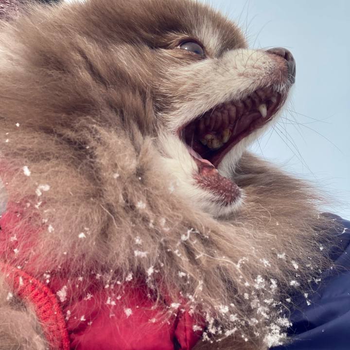 3ab1558a 7f14 4ffb 885f af848fc52665 1645232452898