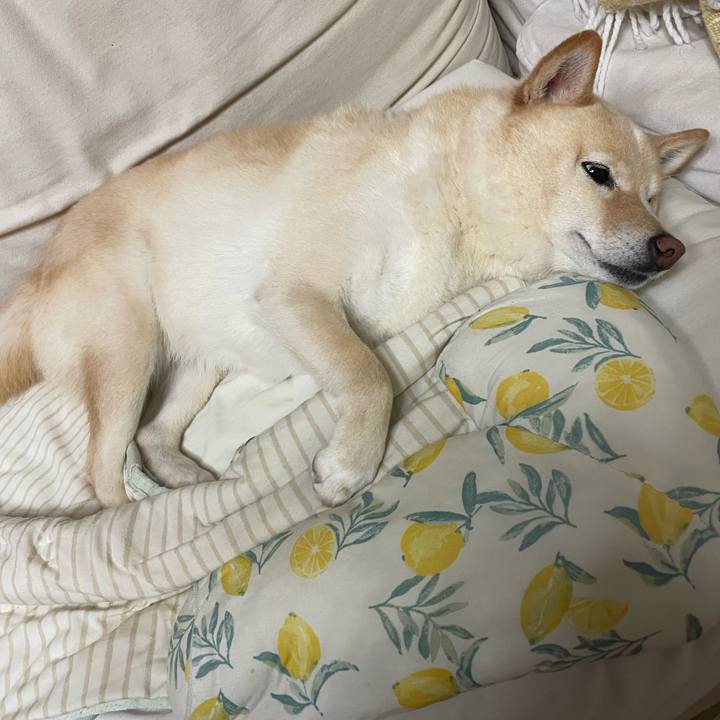 3ab156b2 b736 4c1f 88bb c6f10a21dd16 1746712563191