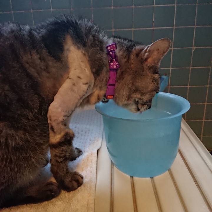 3ab17710 657c 4f54 91f9 e4c9c2dbc92a 1588412007284