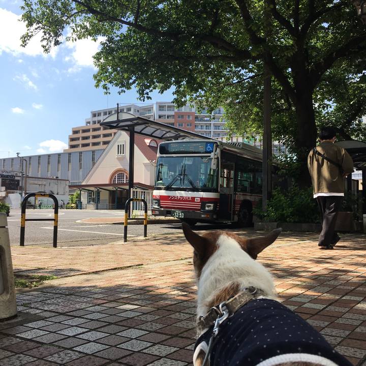 3ab17e57 ec69 441c b7b8 6a3cfd51f151 1621812607430