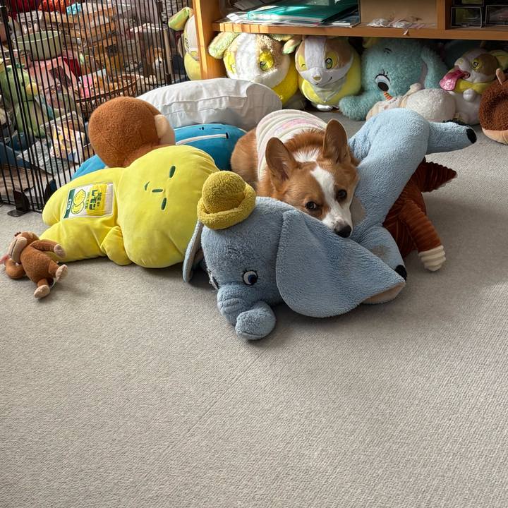 3ab1a413 98a6 473f 848f 271f69a342b0 1768026680686