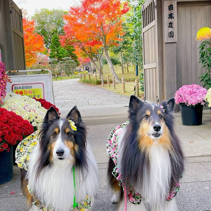 3ab1bfe3 65b6 4906 925d 530ab5547f3f 1763178857893