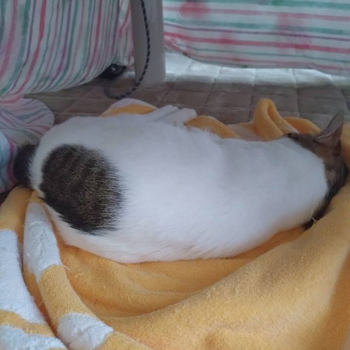 3ab1c03f a12c 41a2 aea0 1477647667f5 1713581347426